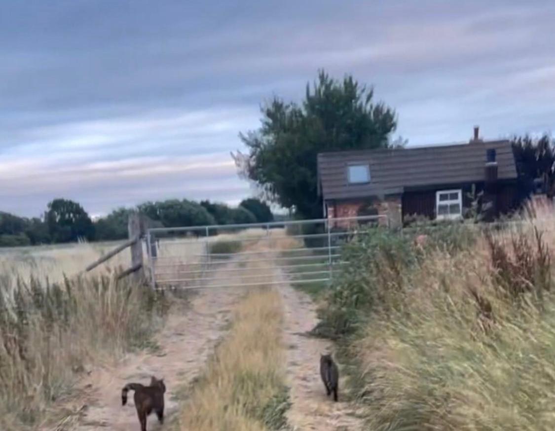 Lincoln Holiday Retreat Little House With Private Hot Tub Dış mekan fotoğraf